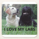 Search for labrador coasters Funny