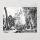 Recherche de cambodia cartes postales Siem reap