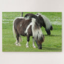 Recherche de sang puzzles Cheval
