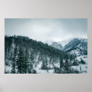 Search for snowy mountain posters Trees