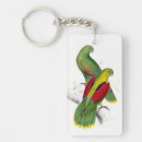 Search for parakeet keychains Colourful
