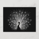Search for peacock feathers postcards Modern