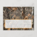 Recherche de camo cartes postales Orange