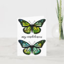 Search for butterfly sympathy cards Butterflies