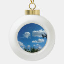 Search for blue sky ornaments Pretty