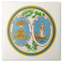 Search for souvenir tiles Trivet
