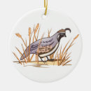 Search for quail ornaments Fowl