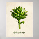 Search for vintage vegetables posters Artichoke