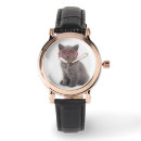 Search for animal watches Kitten