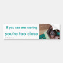 Search for ape bumper stickers Orangutans