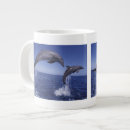 Search for bottlenose dolphin mugs Animal