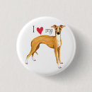 Recherche de lévrier badges Iggy