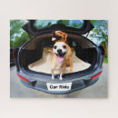 Recherche de dog puzzles Pet