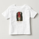Recherche de francois tshirts Nicolas