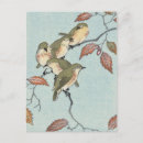 Recherche de koson cartes postales Oiseau