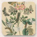 Search for insect coasters Caterpillars