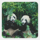 Search for keren stickers Bear