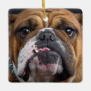 Search for english bulldog ornaments Dog lover