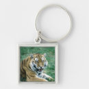 Search for bengal cat keychains Animal
