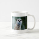 Recherche de merkats tasses Animal