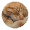 Recherche de gingembre boutons et poignées de porte Orange