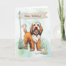 Search for griffon cards Pbgv