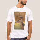 Search for white tailed tshirts Buck