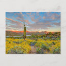 Recherche de fred cartes postales Fred j lord