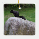 Recherche de nature ornements Mignon