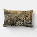 Search for cheetah pillows Wild animals