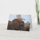Search for bath time cards Photography