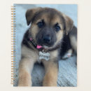 Search for athena Dog