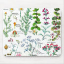 Search for producers mousepads Farm