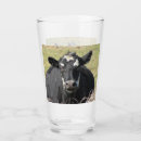 Search for ungulate Cow