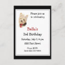 Search for yorkie birthday invitations Party
