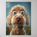 Search for labradoodle art Doodle dog