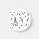 Recherche de hirondelles magnets Faune