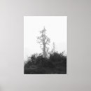 Search for lonely tree Black and white