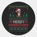 Search for boykin stickers Home alone