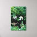 Recherche de faune art Flore