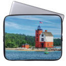 Search for island light electronics Michigan