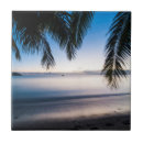 Search for fiji coasters Destination