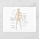 Search for nervous system postcards Body