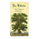 Search for tree bookplates Rustic