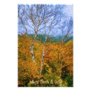 Search for birch leaf posters New hampshire