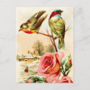 Search for winter rose vertical postcards Flowers