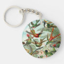 Recherche de colibris porteclés Illustration