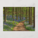 Recherche de springtime posters Forest