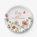 Search for wildflower paper plates Summer