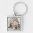 Search for cockerals keychains Animal